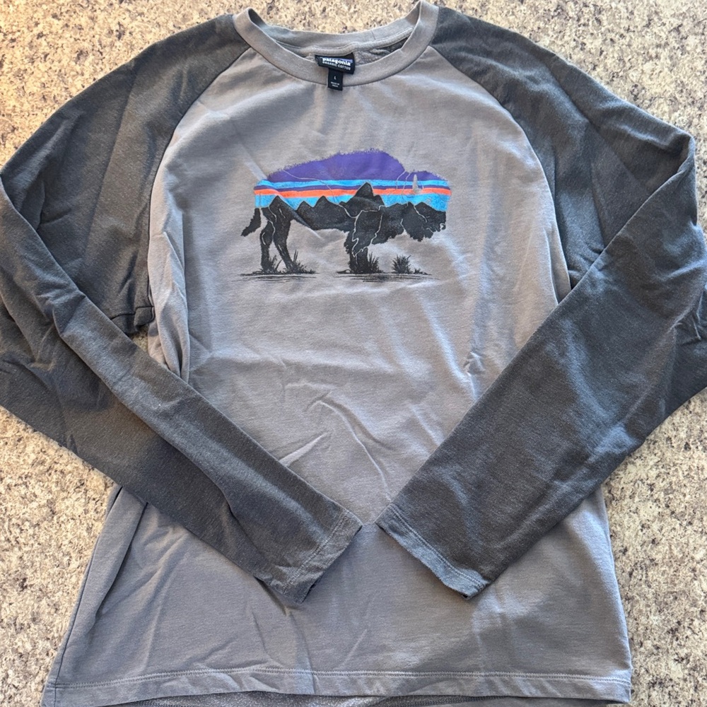 Patagonia Men’s Gray and Charcoal Raglan Long-Sleeve Graphic Tee